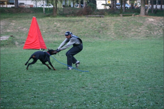 Summer training camp - Jelenec - 2007